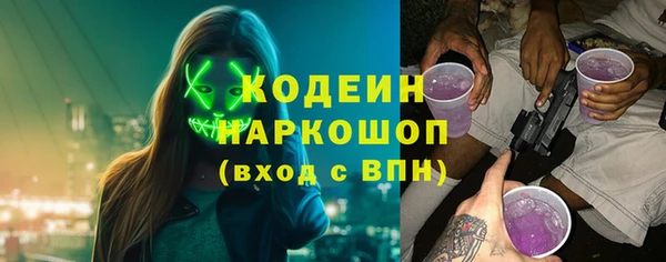 стаф Новокубанск