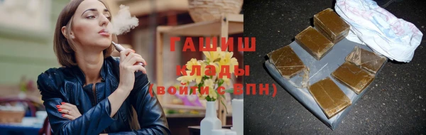 стаф Новокубанск