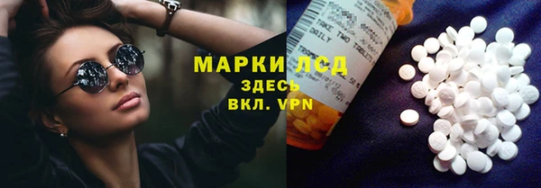 стаф Новокубанск