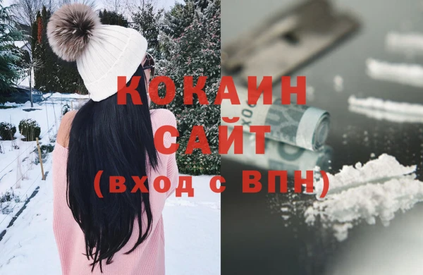 стаф Новокубанск