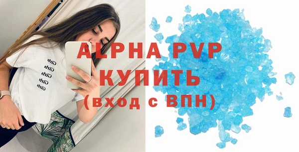 стаф Новокубанск
