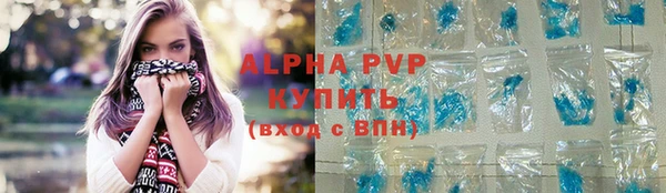 стаф Новокубанск