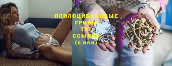 амфетамин Новозыбков