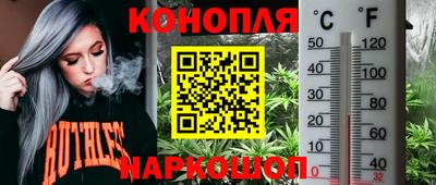 винт Камышлов