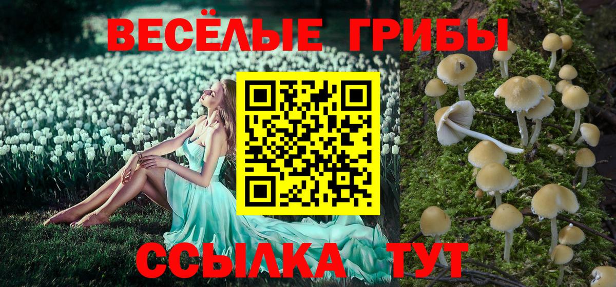 Галлюциногенные грибы MAGIC MUSHROOMS Сунжа