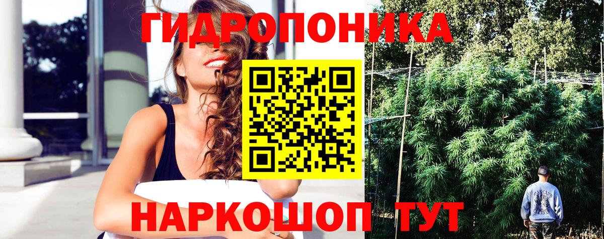 Бошки Шишки гибрид Сунжа